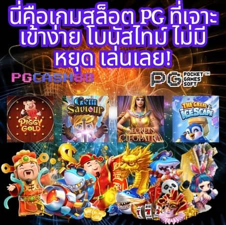 พีจี333